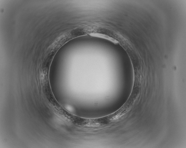 X0000062170601200512091432