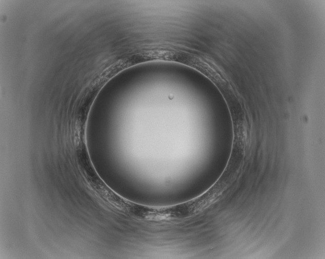 X0000062170602200512091432