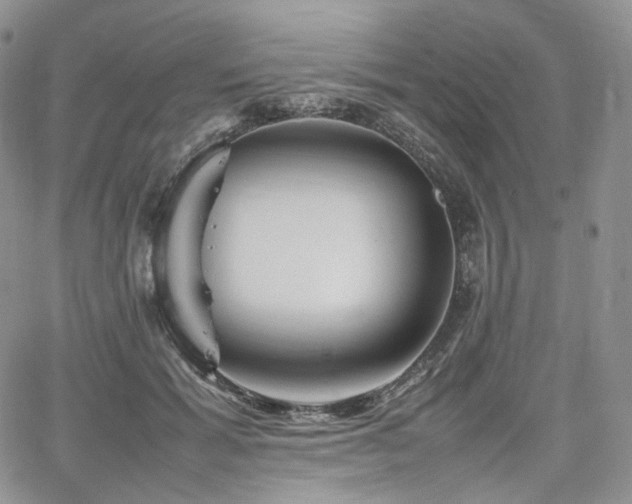 X0000062170605200512091432