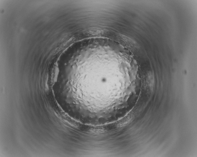 X0000062170606200512091432