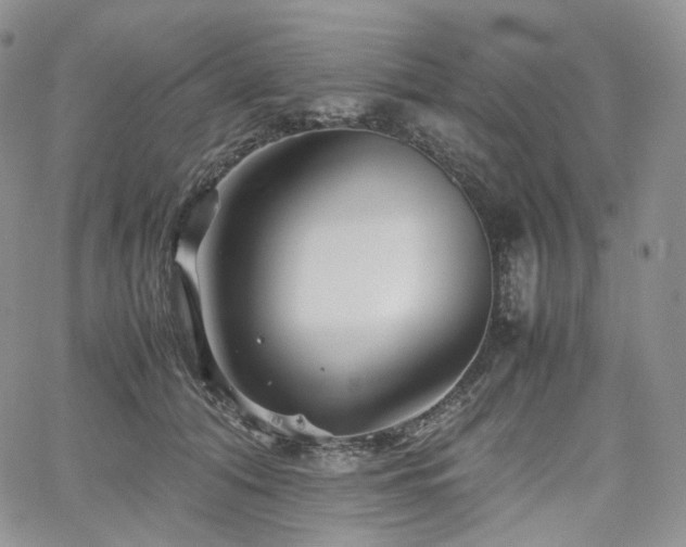 X0000062170608200512091432