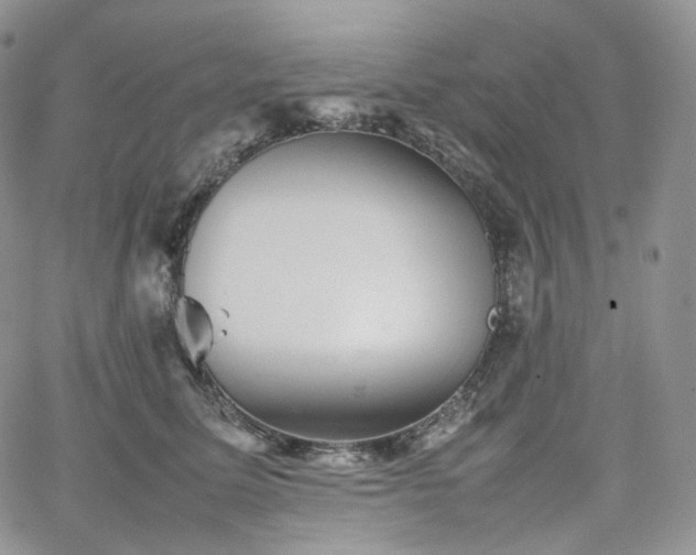 X0000062170611200512091432