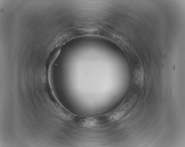 X0000062170612200512091432