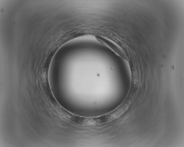 X0000062170613200512091432