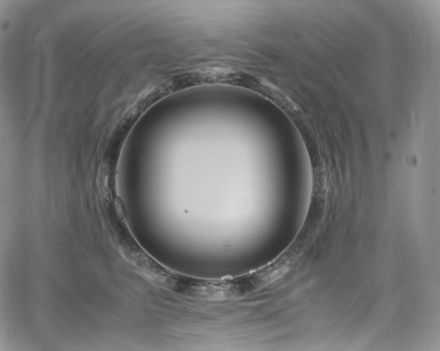 X0000062170615200512091432