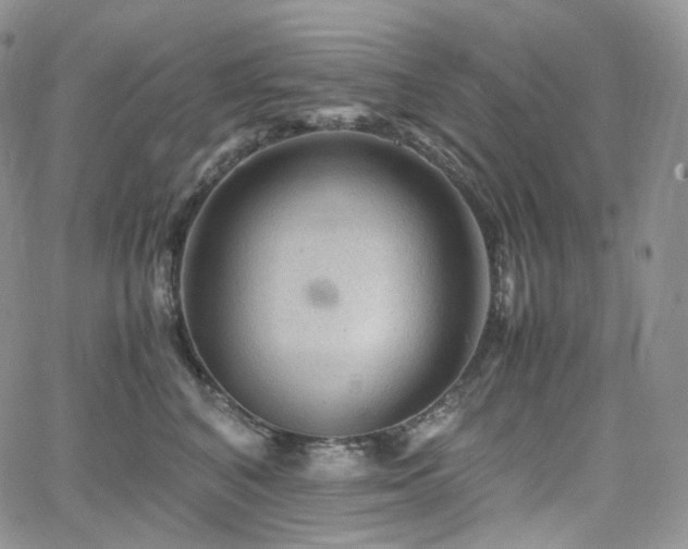 X0000062170616200512091432