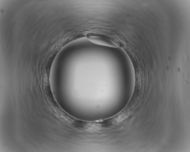 X0000062170617200512091432