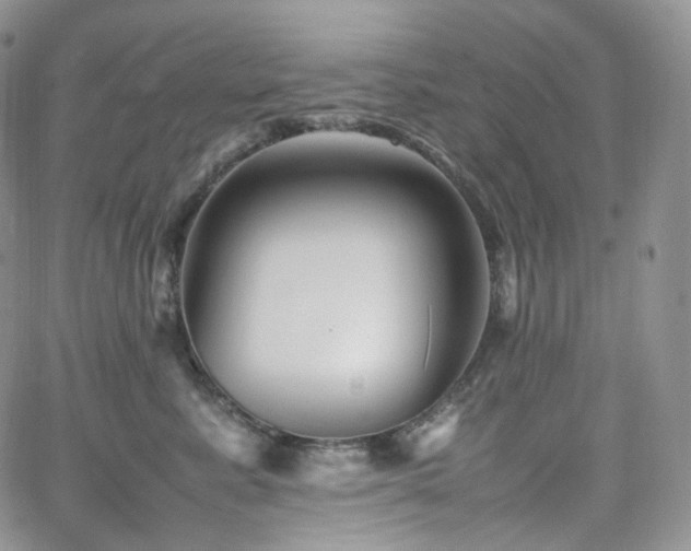 X0000062170619200512091432