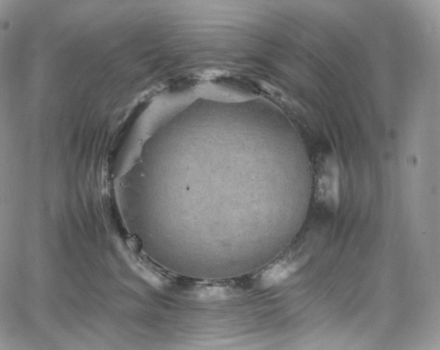 X0000062170620200512091432