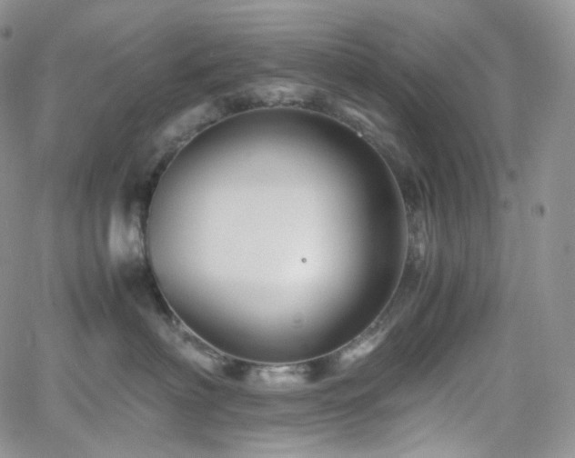 X0000062170622200512091432