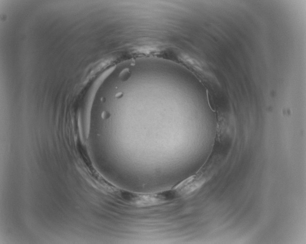 X0000062170623200512091432