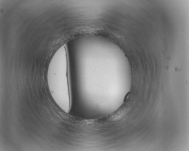 X0000062170624200512091431