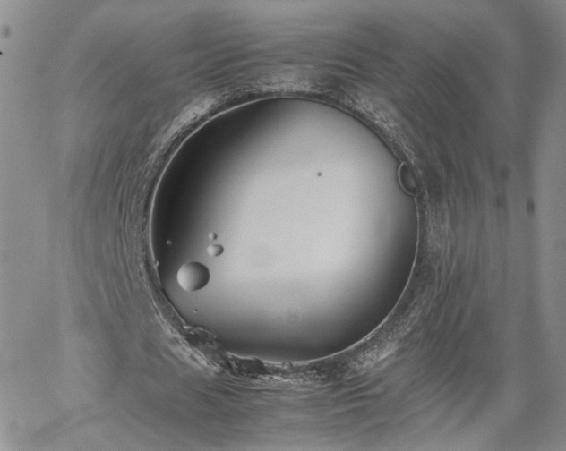 X0000062170625200512091431