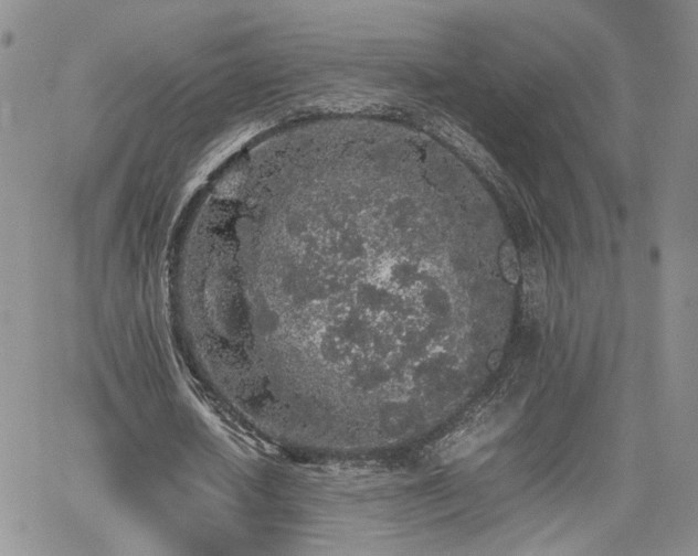 X0000062170626200512091431