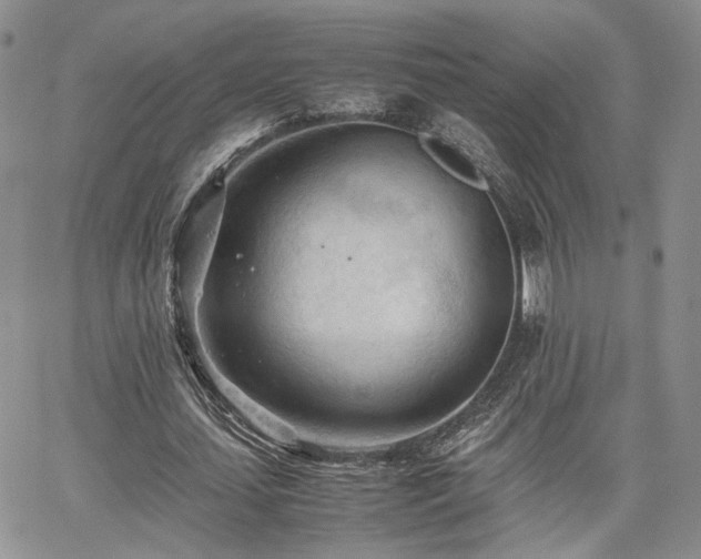 X0000062170627200512091431