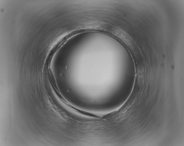 X0000062170628200512091431