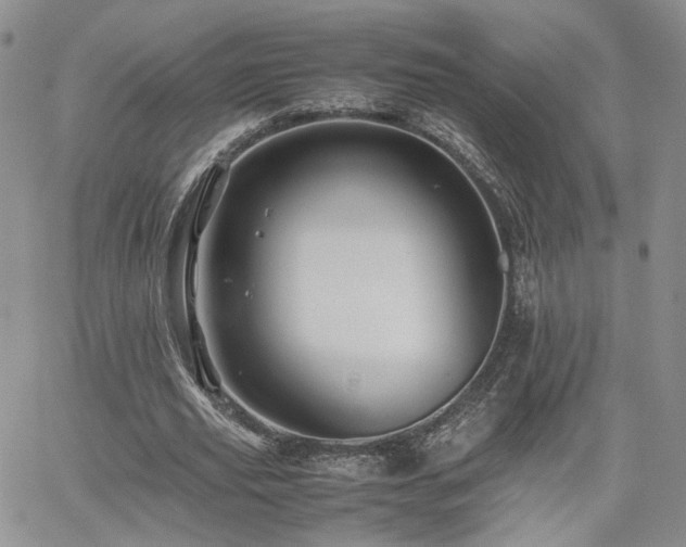 X0000062170629200512091431