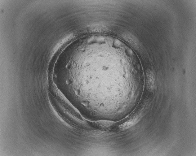 X0000062170630200512091431