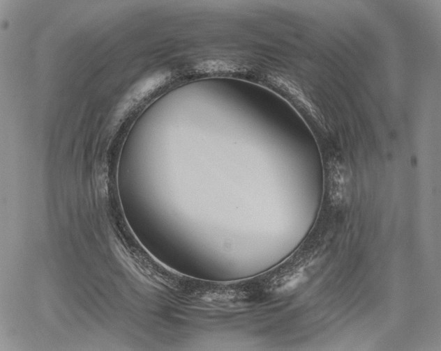 X0000062170631200512091431