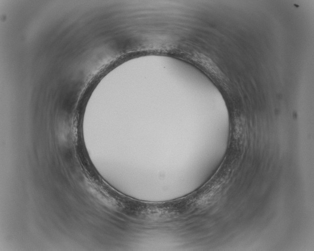 X0000062170632200512091431