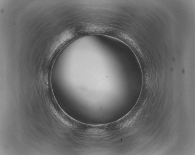 X0000062170633200512091431