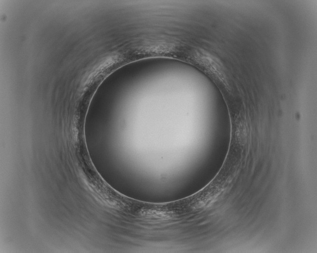 X0000062170635200512091431