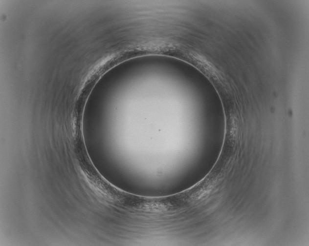 X0000062170636200512091431