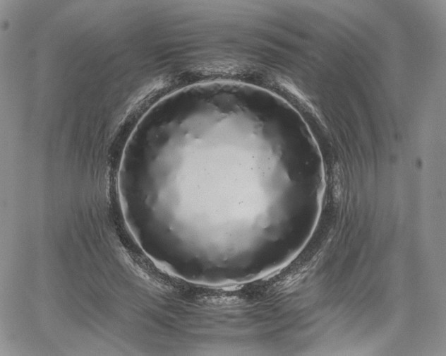 X0000062170637200512091431