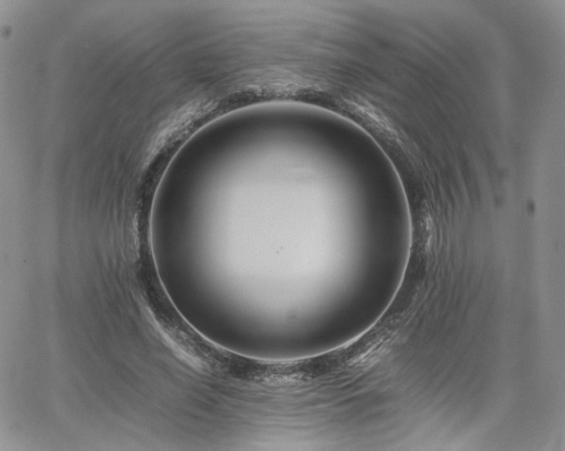 X0000062170638200512091431