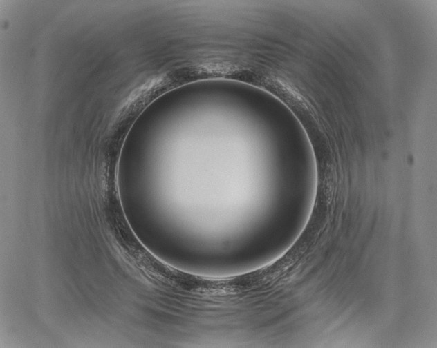 X0000062170639200512091431