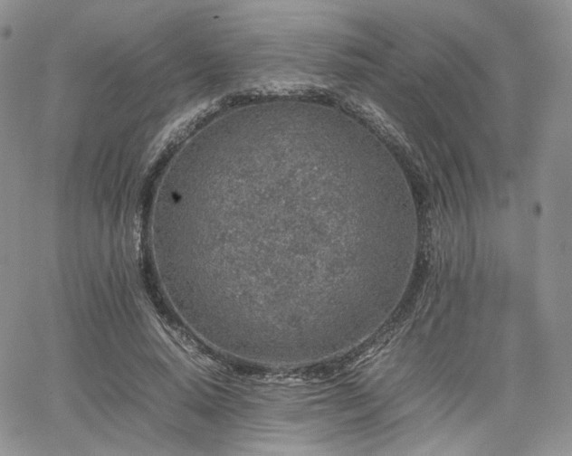 X0000062170640200512091431