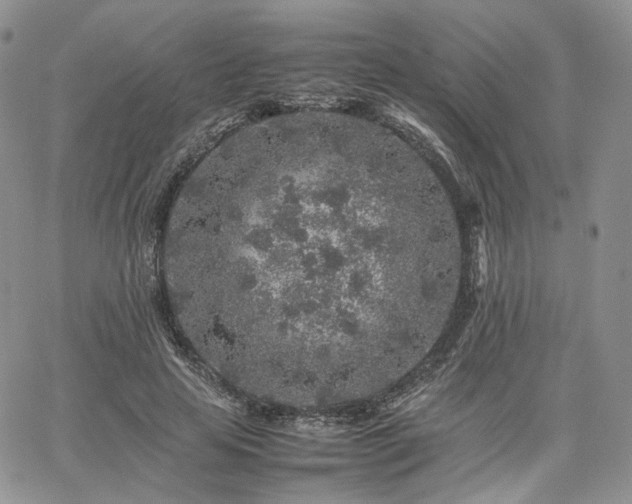 X0000062170641200512091431