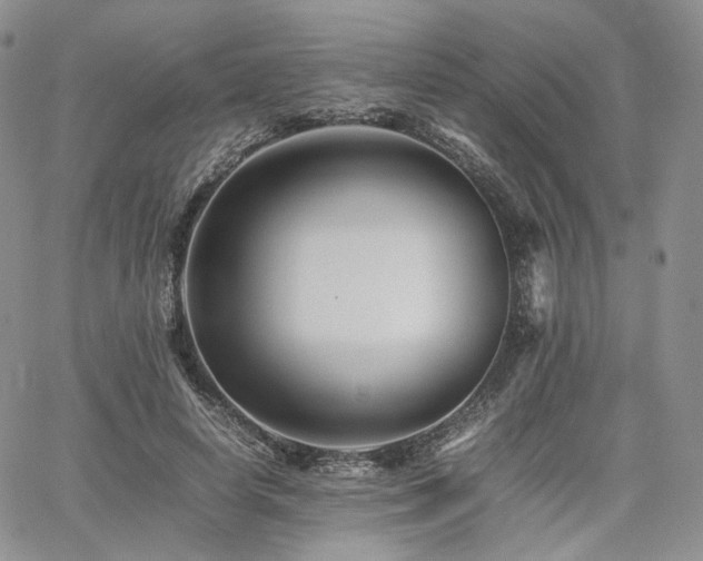 X0000062170642200512091431