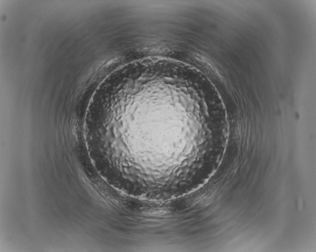 X0000062170643200512091431