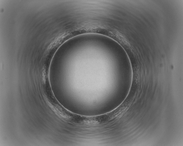 X0000062170644200512091431