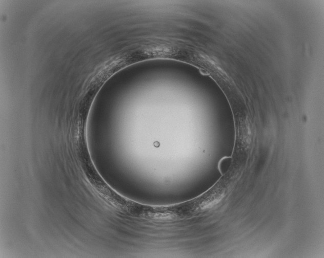 X0000062170645200512091431