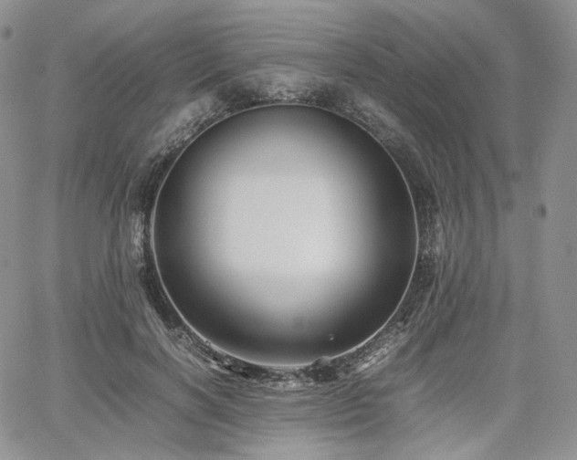 X0000062170646200512091431