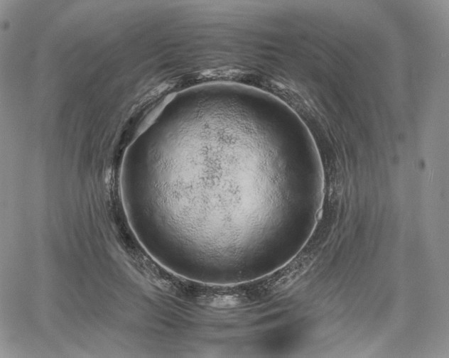 X0000062170647200512091431