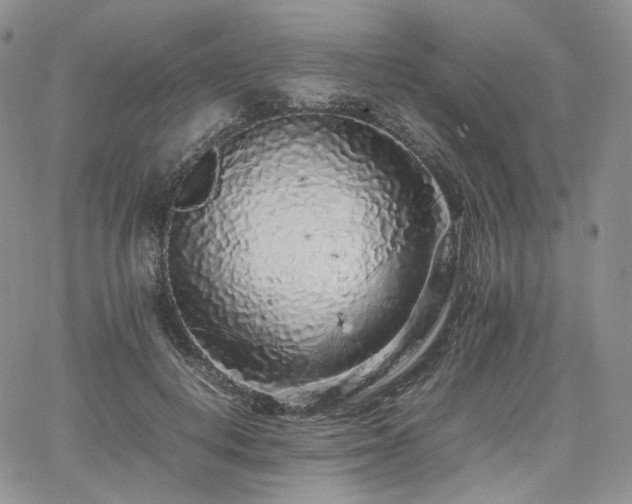 X0000062170648200512091431