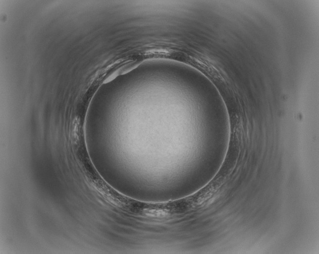 X0000062170649200512091431