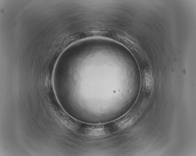 X0000062170651200512091431