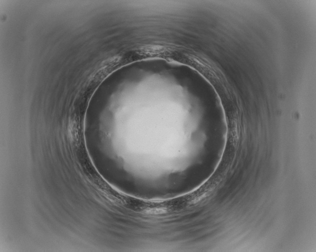 X0000062170653200512091431