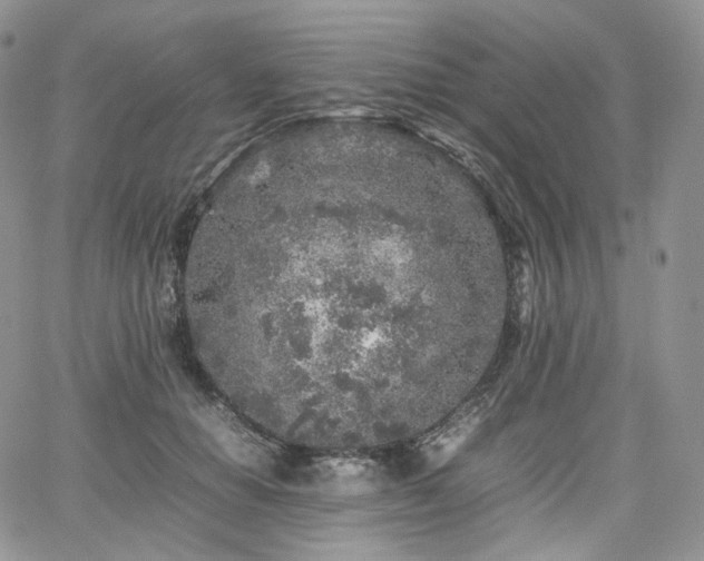 X0000062170654200512091431