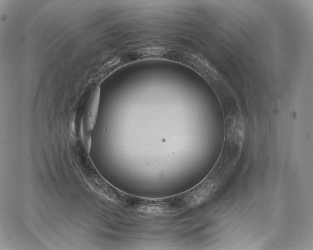 X0000062170655200512091431