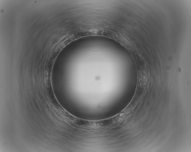 X0000062170656200512091431