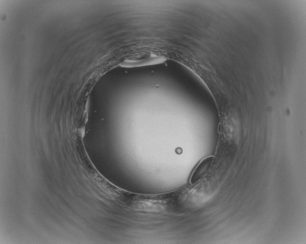 X0000062170657200512091431