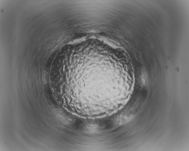 X0000062170658200512091431