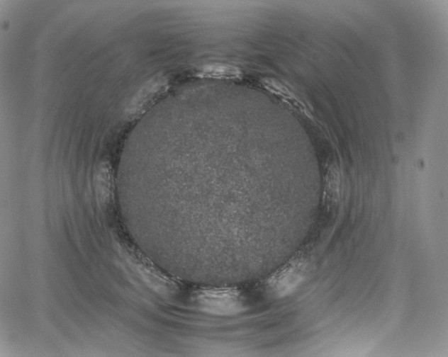 X0000062170659200512091431