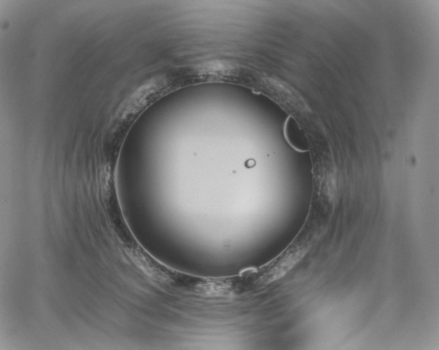 X0000062170660200512091431