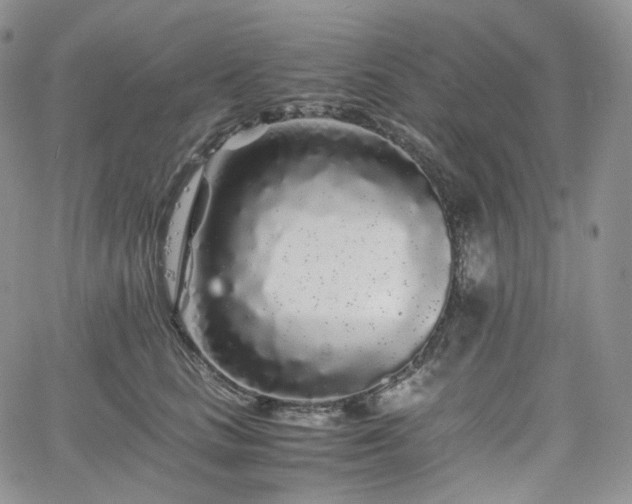 X0000062170661200512091431